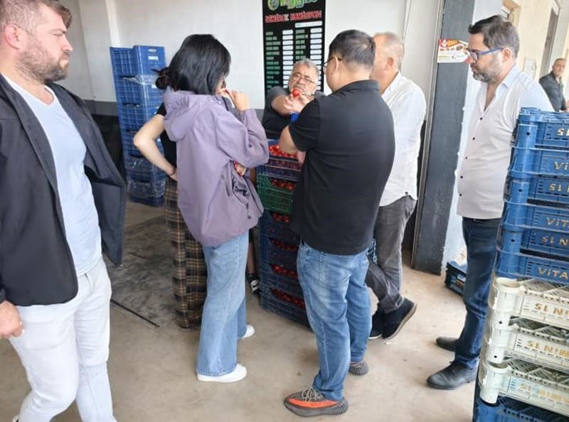 Turkish agricultural market.jpg